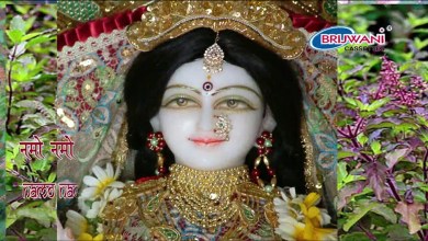 Tulsi Chalisa Lyrics with Meaning in Hindi and English Tulsi Chalisa Lyrics with Meaning in Hindi and English