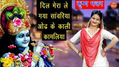 Dil mera le gya sawariya, aud ke kaali kaamaliya Lyrics in Hindi and English Dil mera le gya sawariya, aud ke kaali kaamaliya Lyrics in Hindi and English