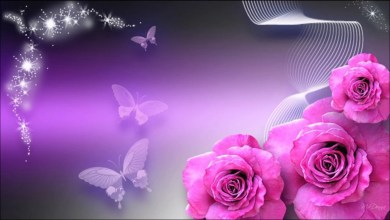 Mujhe Tera Sahara Sada Chahiye Bhajan Lyrics in Hindi English Mujhe Tera Sahara Sada Chahiye Bhajan Lyrics in Hindi English