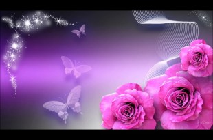 Mujhe Tera Sahara Sada Chahiye Bhajan Lyrics in Hindi English Mujhe Tera Sahara Sada Chahiye Bhajan Lyrics in Hindi English