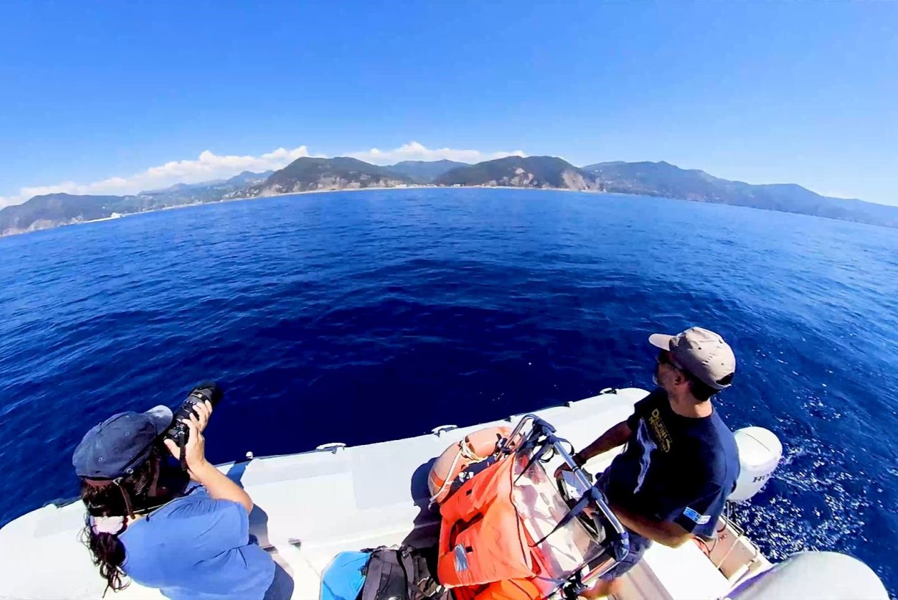 All’Acquario di Genova il corso di formazione per operatori specializzati in tutela dei cetacei All’Acquario di Genova il corso di formazione per operatori specializzati in tutela dei cetacei