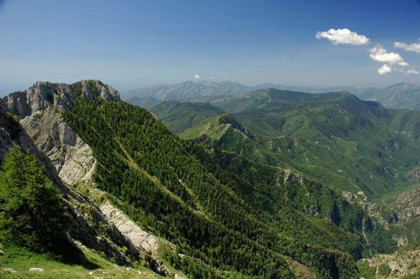 Alcotra: a Genova due giorni di incontri sulla biodiversità con l’evento finale di Pitem Biodiv’Alp Alcotra: a Genova due giorni di incontri sulla biodiversità con l’evento finale di Pitem Biodiv’Alp