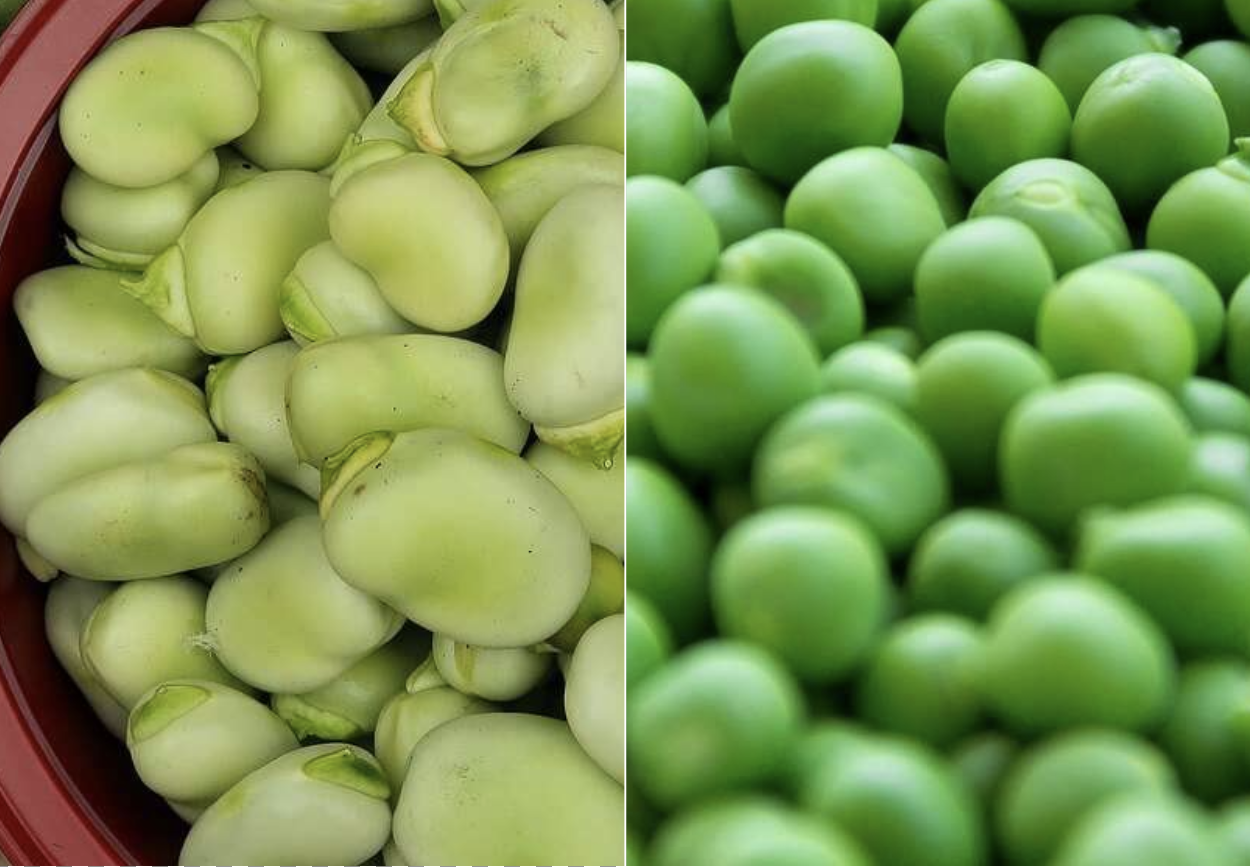 Fave e piselli al profumo di menta Fave e piselli al profumo di menta