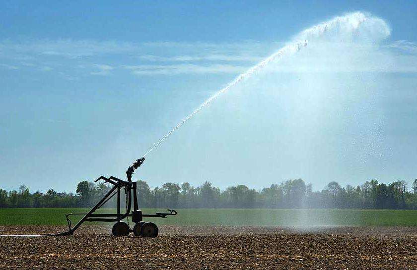 Siccità, Confagricoltura Liguria: serve una rete di impianti di raccolta delle acque piovane e fluviali Siccità, Confagricoltura Liguria: serve una rete di impianti di raccolta delle acque piovane e fluviali