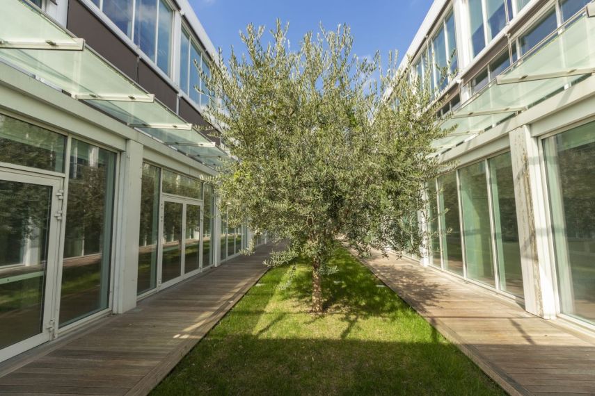 Albenga, Aquileia Capital Services vende complesso immobiliare di oltre 3.600 mq Albenga, Aquileia Capital Services vende complesso immobiliare di oltre 3.600 mq