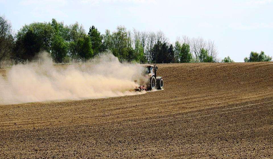 Agricoltura, Piana: «Alla Liguria in arrivo 2 milioni di euro per i danni da siccità» Agricoltura, Piana: «Alla Liguria in arrivo 2 milioni di euro per i danni da siccità»