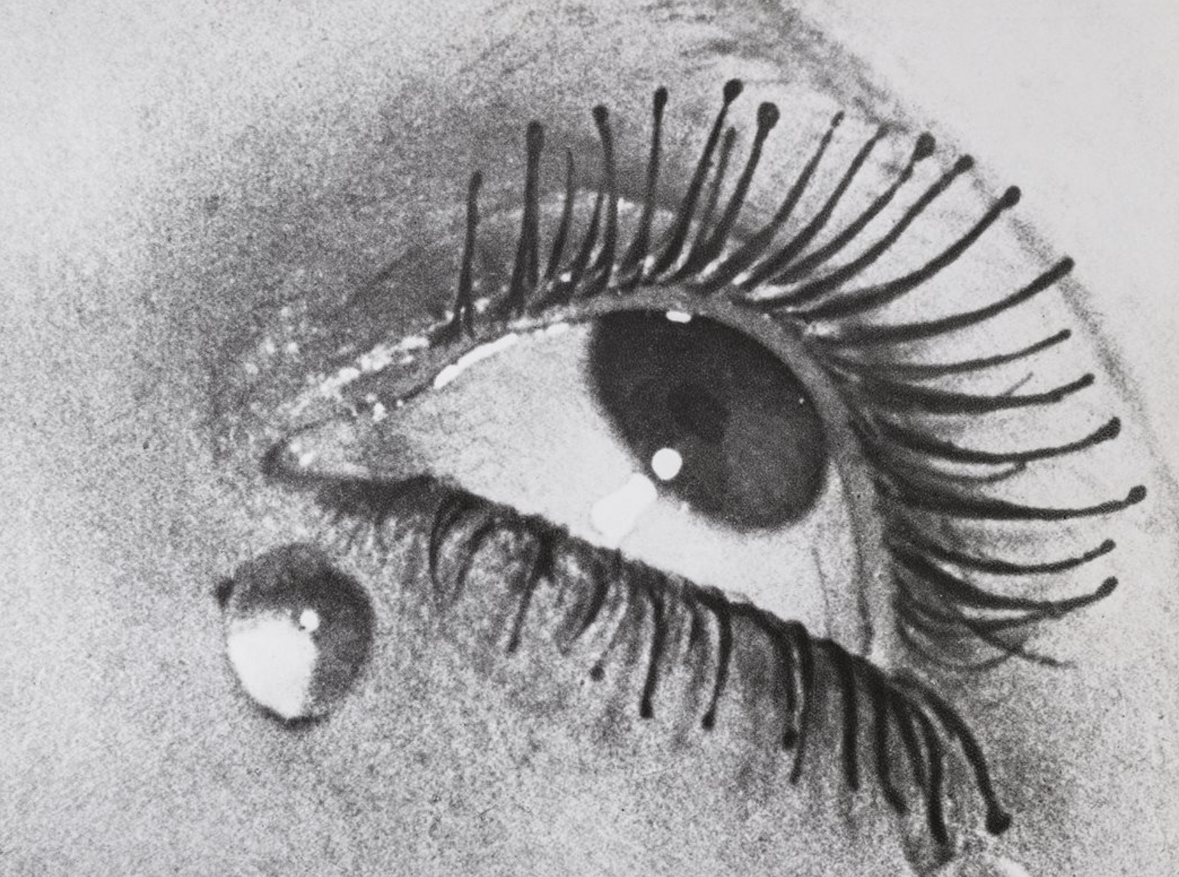 Man Ray, a Palazzo Ducale mostra aperta fino al 9 luglio Man Ray, a Palazzo Ducale mostra aperta fino al 9 luglio