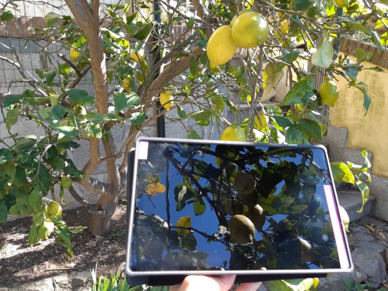 Agroalimentare, l’Accademia Its di Imperia formerà i nuovi esperti della filiera 4.0 Agroalimentare, l’Accademia Its di Imperia formerà i nuovi esperti della filiera 4.0