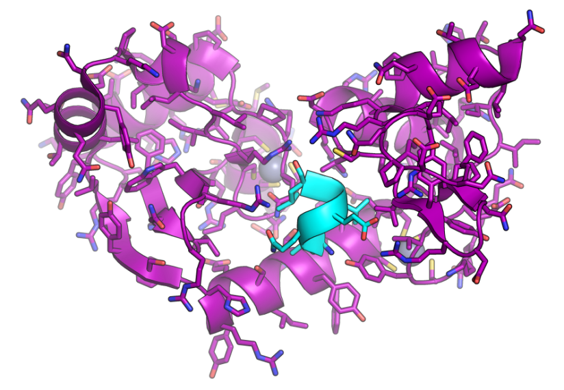 Tumore del collo dell’utero: screening e vaccinazioni HPV gratuite in Liguria Tumore del collo dell’utero: screening e vaccinazioni HPV gratuite in Liguria