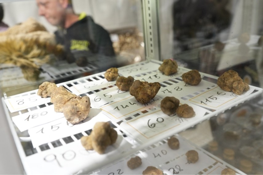 Tartufando 2023: a Genova due weekend e 50 locali per degustare l’oro della terra Tartufando 2023: a Genova due weekend e 50 locali per degustare l’oro della terra