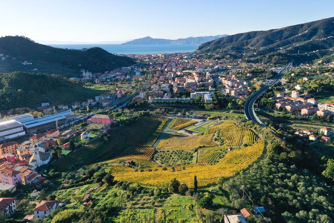 “Fai un giro in vigna” a Sestri Levante: domenica 29 visita alla Cantina Bisson “Fai un giro in vigna” a Sestri Levante: domenica 29 visita alla Cantina Bisson