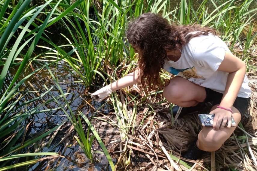 Ad Albenga il primo rilascio di testuggini palustri del progetto Life Urca Proemys Ad Albenga il primo rilascio di testuggini palustri del progetto Life Urca Proemys