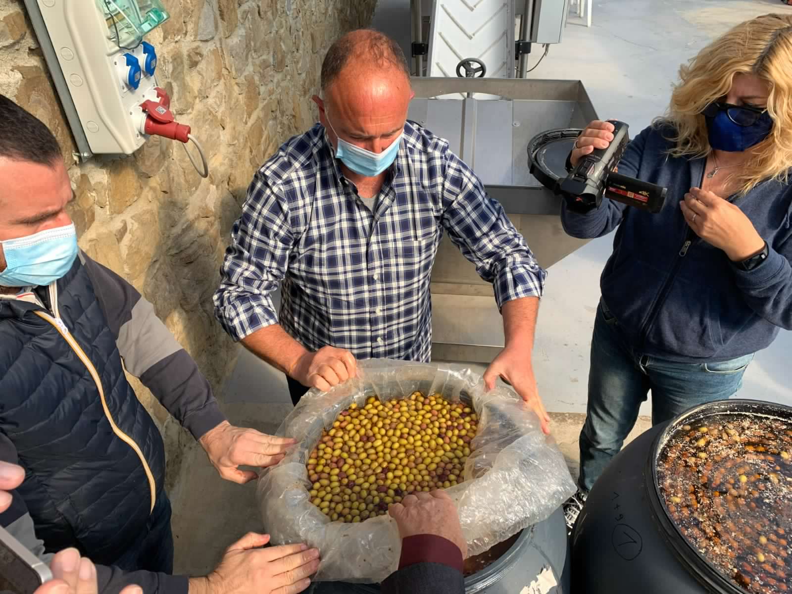 Taggiasca, Progetto Csot: nuove strategie di conservazione dell’oliva in salamoia Taggiasca, Progetto Csot: nuove strategie di conservazione dell’oliva in salamoia
