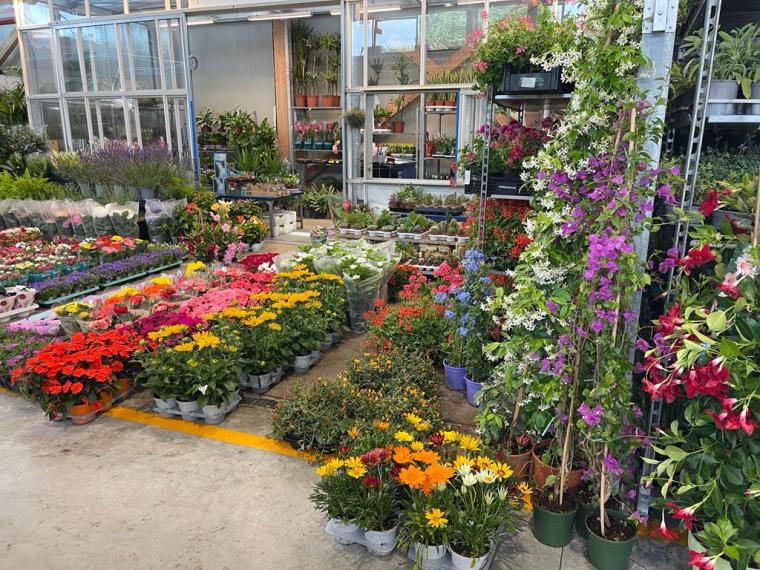 A Bolzaneto il nuovo mercato florovivaistico di Genova, Coldiretti: «Opportunità di rilancio del settore» A Bolzaneto il nuovo mercato florovivaistico di Genova, Coldiretti: «Opportunità di rilancio del settore»