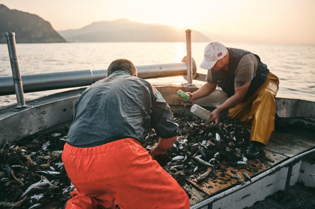 Duferco Energia e Ogyre lanciano la tariffa luce e gas che salva il mare dai rifiuti Duferco Energia e Ogyre lanciano la tariffa luce e gas che salva il mare dai rifiuti