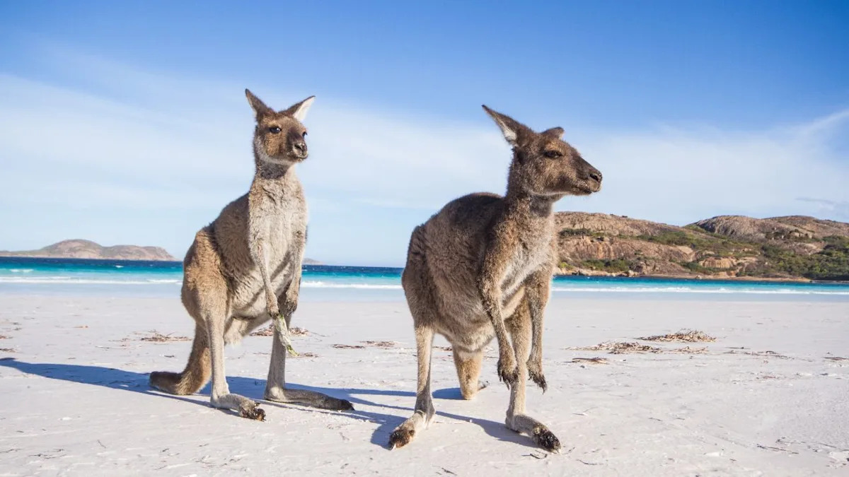 10 Australian Experiences That Don’t Cost a Fortune 10 Australian Experiences That Don’t Cost a Fortune