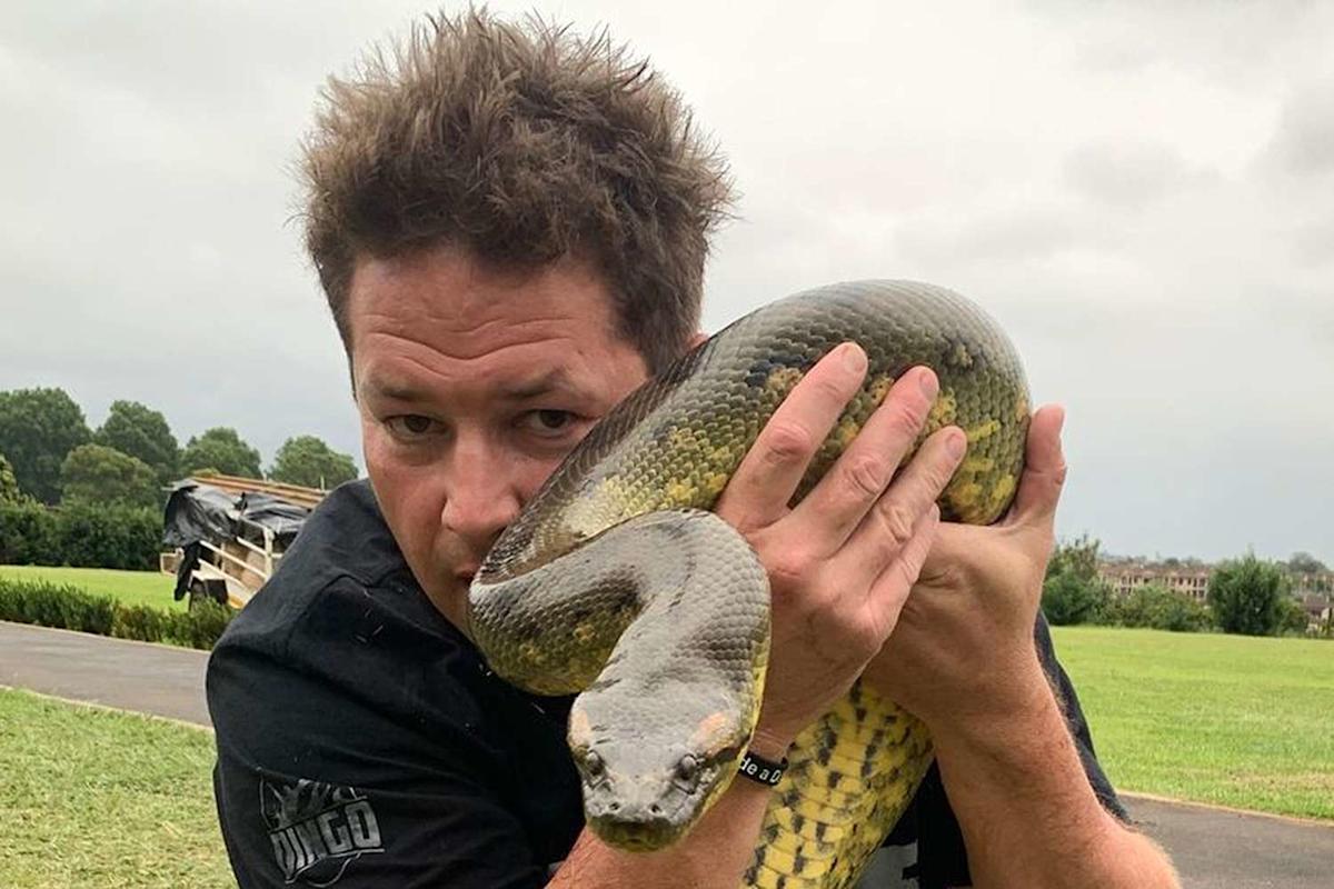 Wife of YouTuber Who Died 1 Month After Being Bitten by Venomous Snake Pens Emotional Tribute: ‘We Love You’ Wife of YouTuber Who Died 1 Month After Being Bitten by Venomous Snake Pens Emotional Tribute: ‘We Love You’