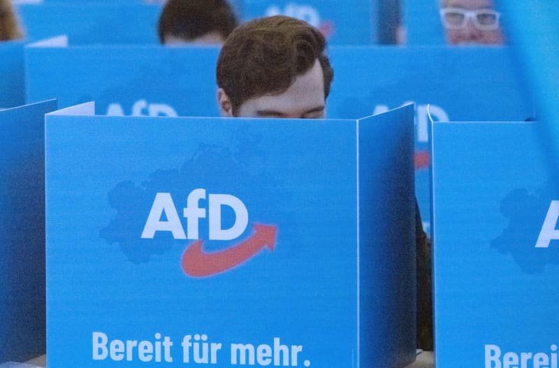 Half of voters back working with AfD ahead of German state election Half of voters back working with AfD ahead of German state election