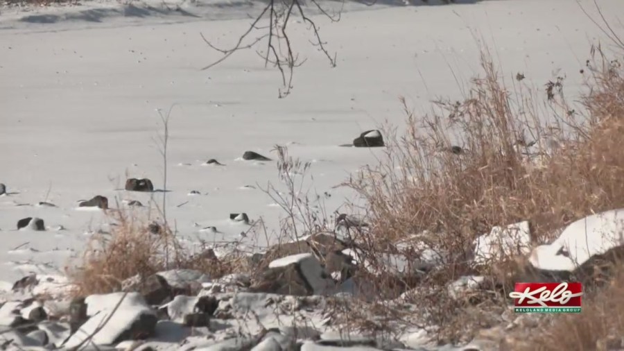 How low will the temps go? How low will the temps go?