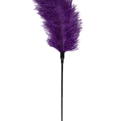 Federkitzler in violett Federkitzler in violett