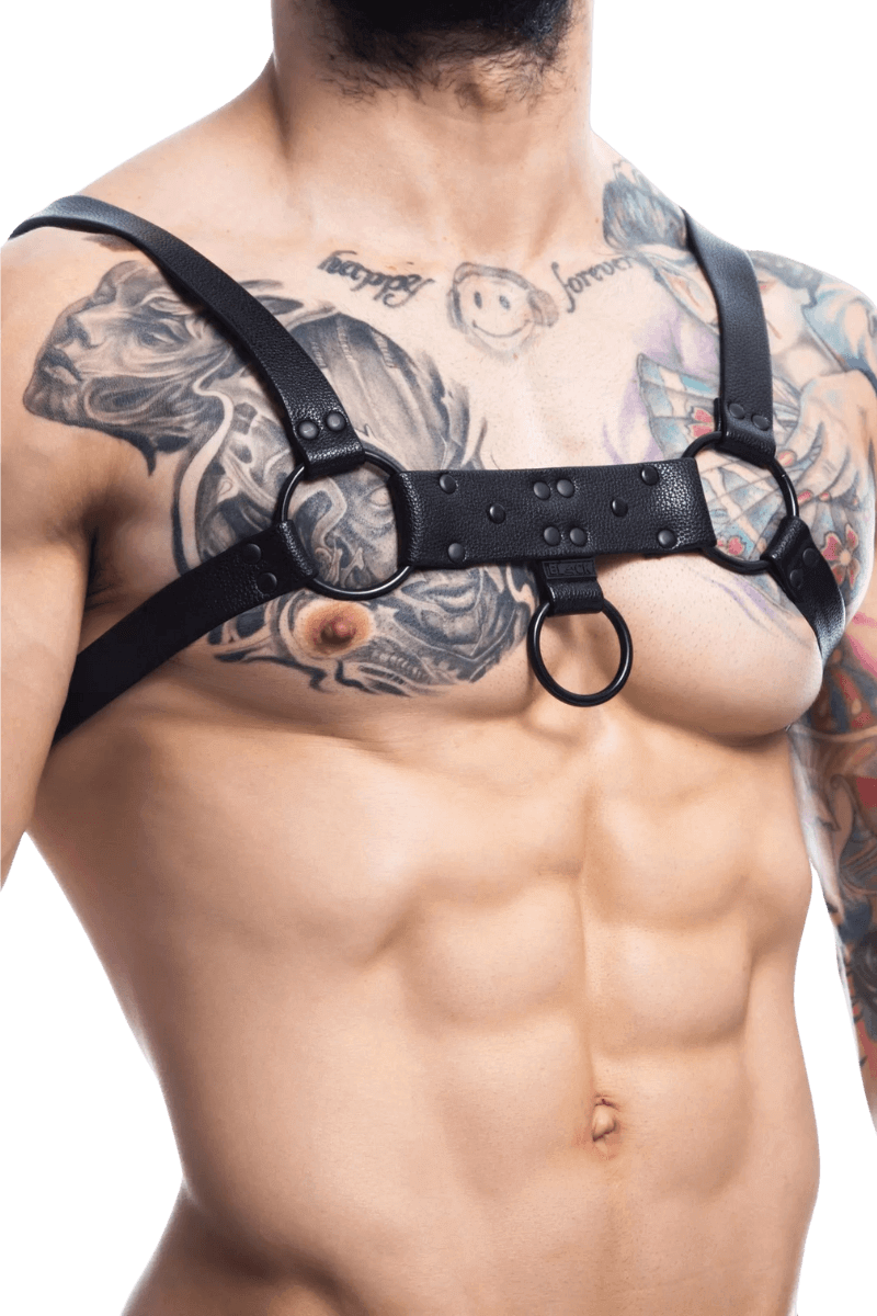 Harness schwarz mit Metallringen