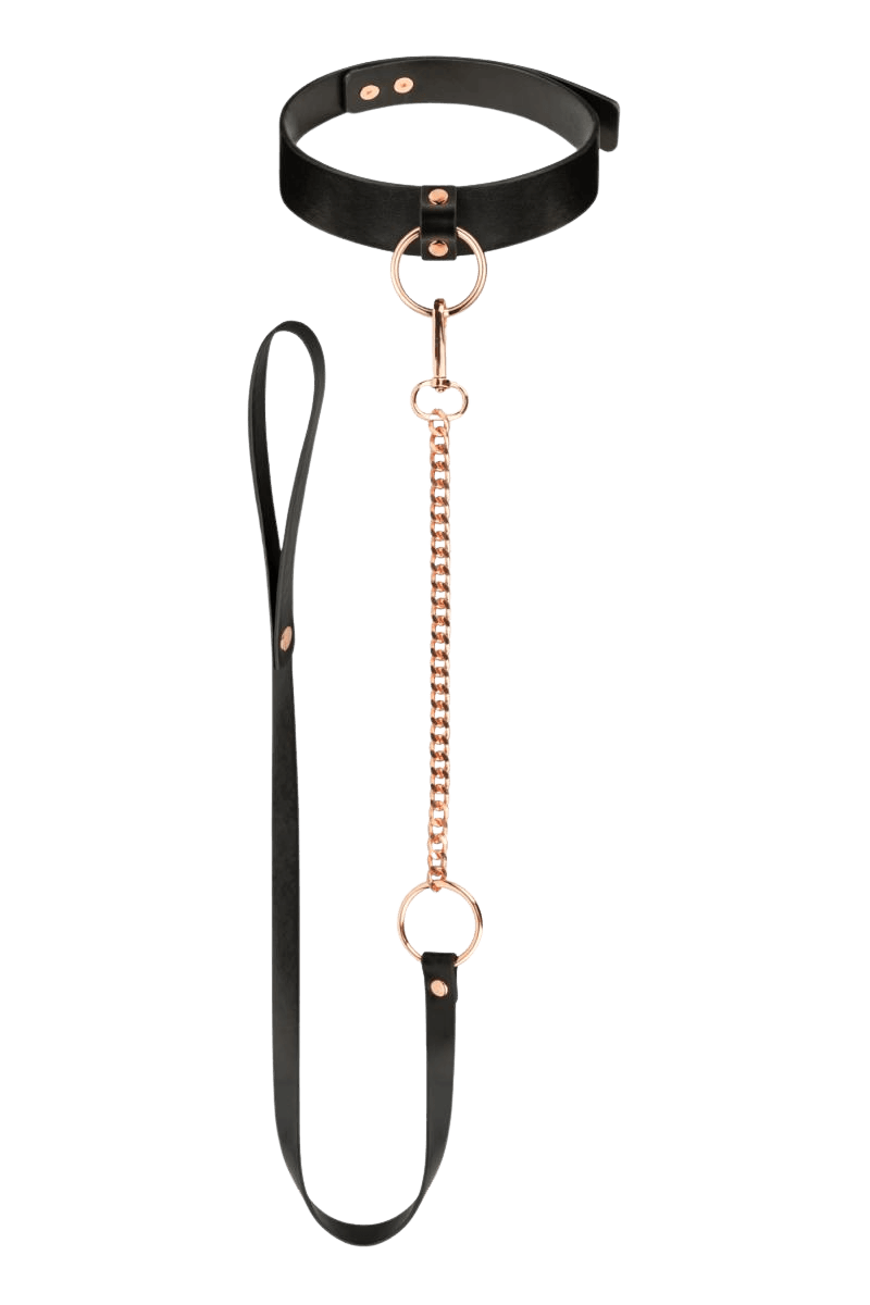 Halsband mit Leine schwarz und roségold