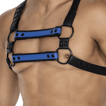 Harness schwarz blau Harness schwarz blau
