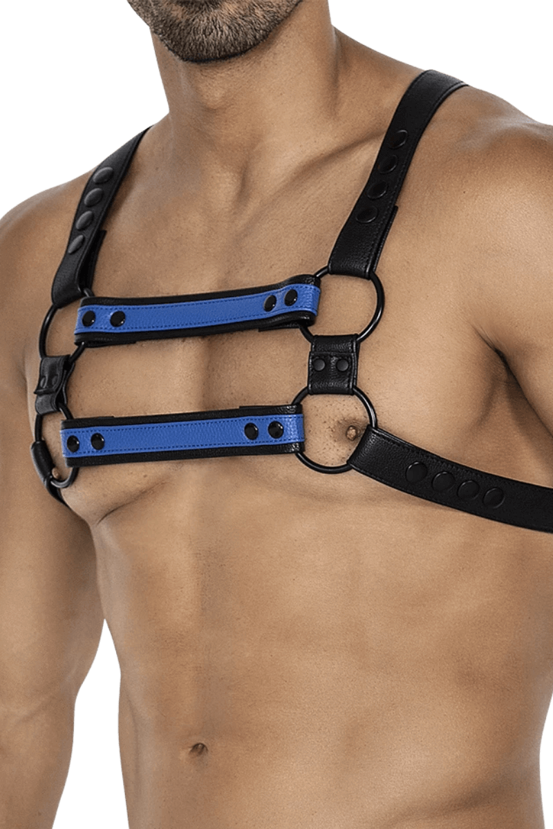 Harness schwarz blau
