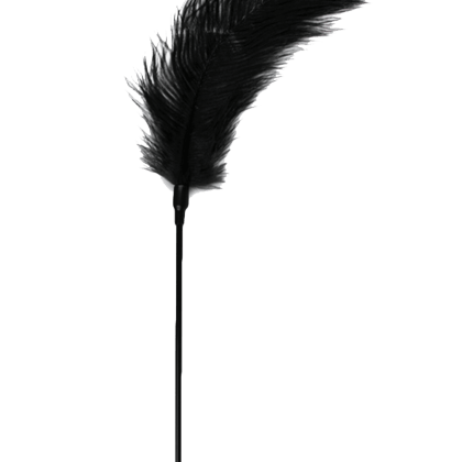 Federkitzler in schwarz Federkitzler in schwarz