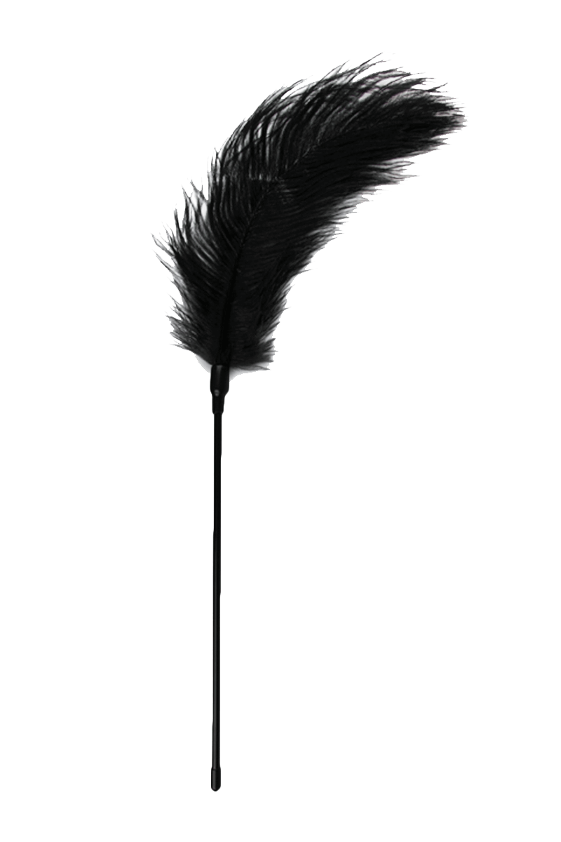 Federkitzler in schwarz