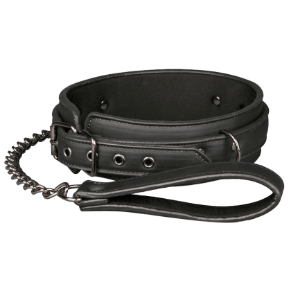 Halsfessel mit abnehmbarer Leine Halsfessel mit abnehmbarer Leine