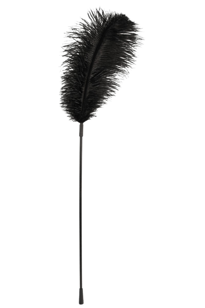 Federstab schwarz – 65cm