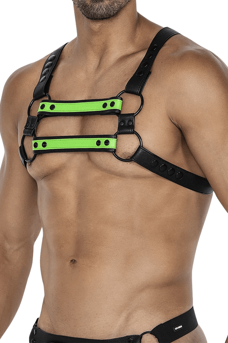 Harness schwarz neongrün