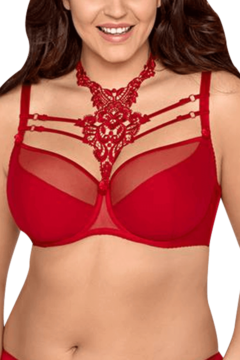 BH mit Spitze Plus Size