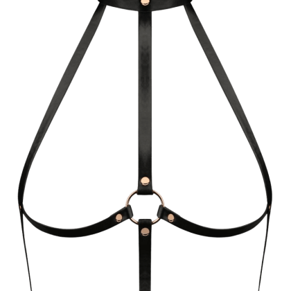 Harness mit Halsband Harness mit Halsband