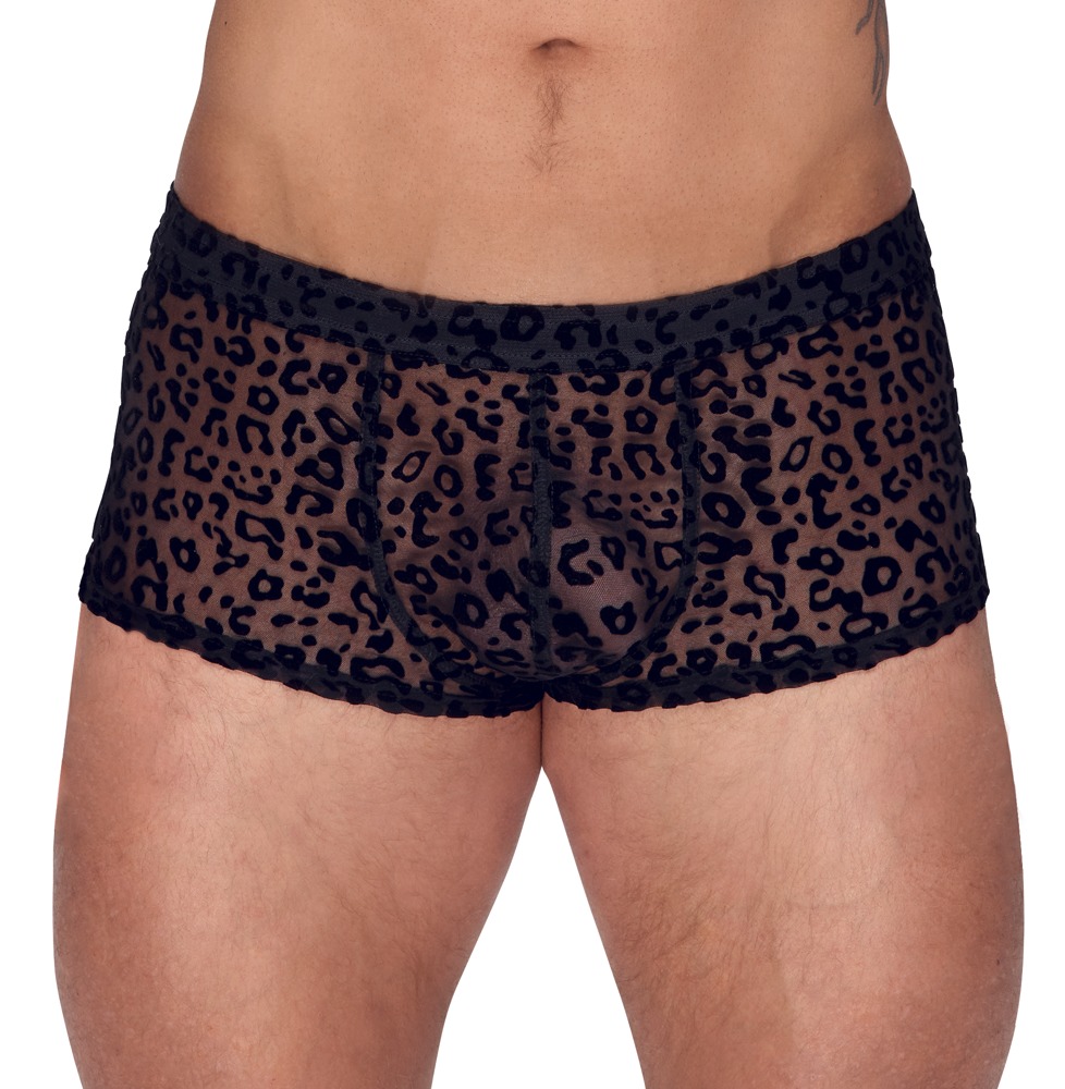 Pants aus feinem Powernet mit Leo-Samtflockprint