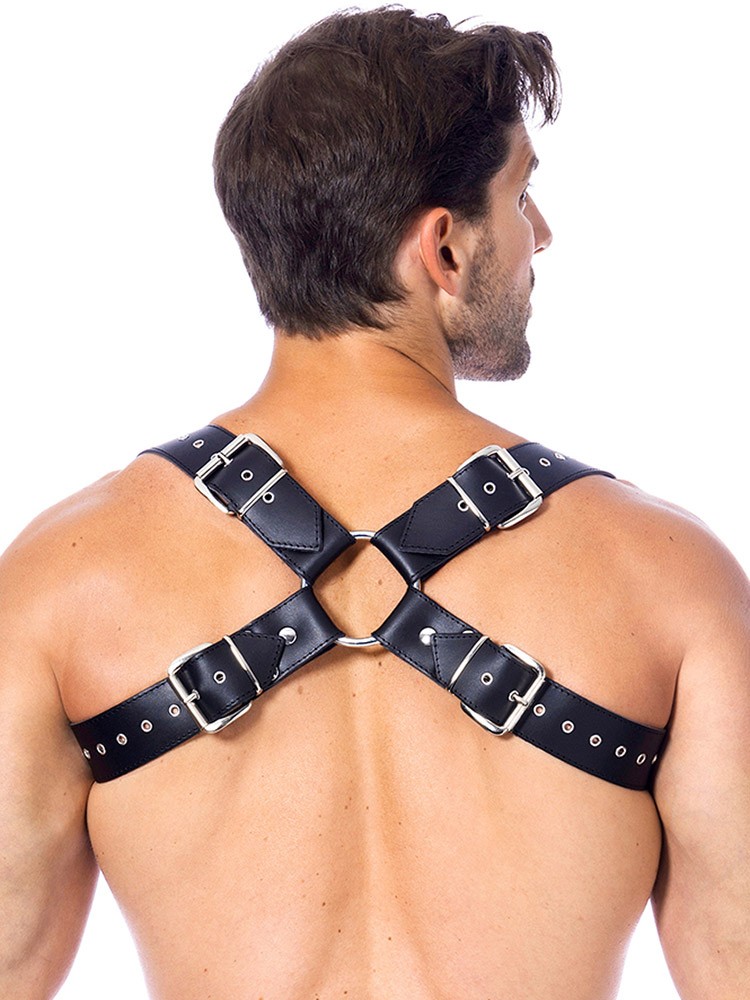 Leder-Harness, schwarz (One Size)