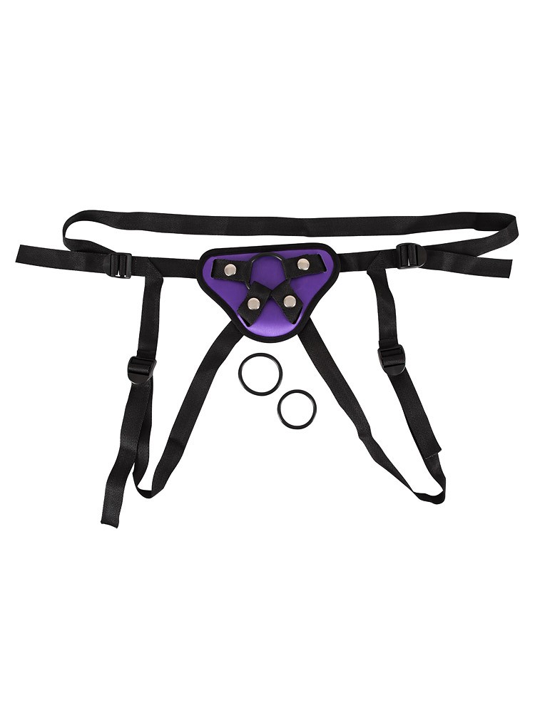 Universal-Harness, schwarz/lila