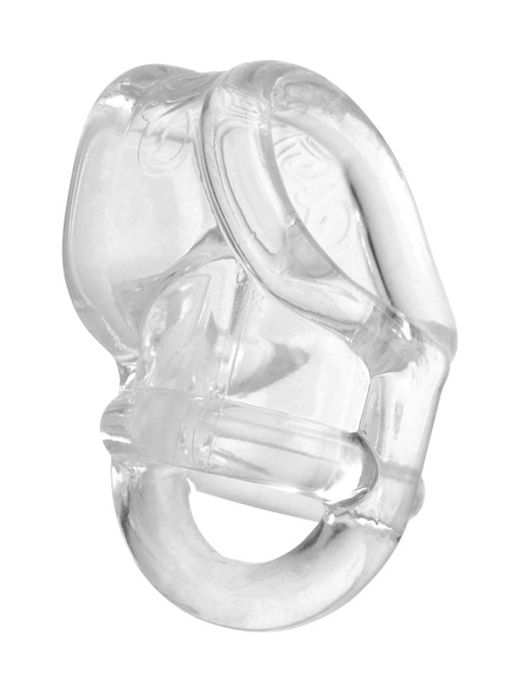 Master Series Annex Erection Enhancer: Penis- und Hodenring, transparent