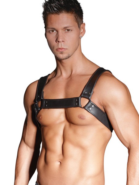 Leder-Harness, schwarz