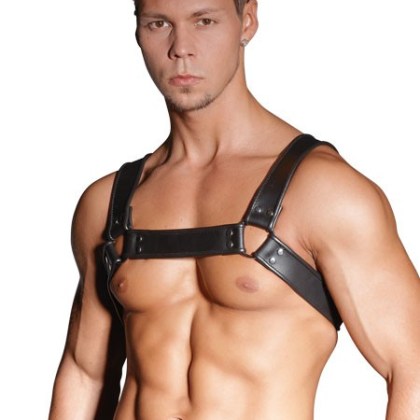Leder-Harness, schwarz Leder-Harness, schwarz