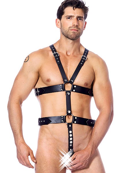 Lederharness mit 2 Penisringen, schwarz (One Size)