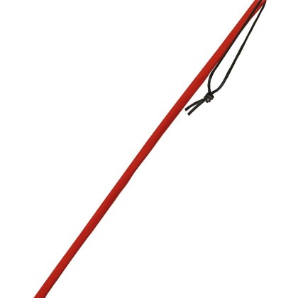 Xx-DreamsToys: Flexibler Rohrstock, rot Xx-DreamsToys: Flexibler Rohrstock, rot