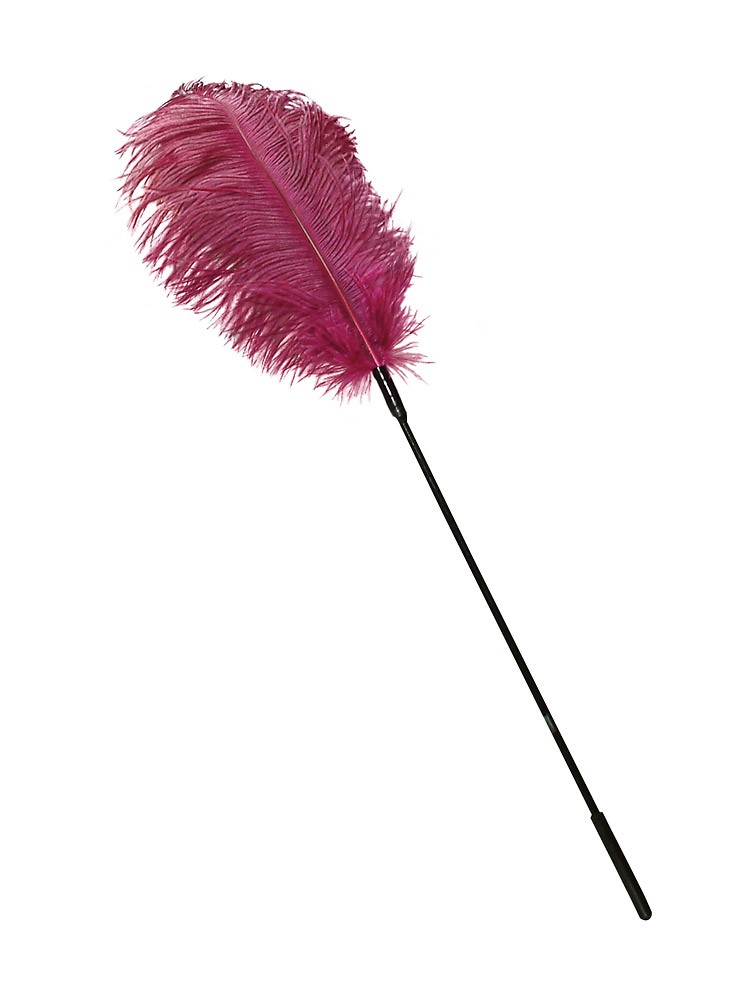 Federstab, pink
