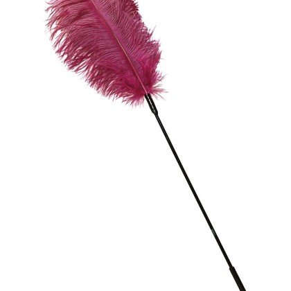 Federstab, pink Federstab, pink