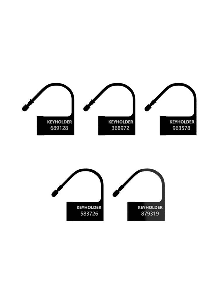 ManCage Spare Lock: Kunststoff-Schloss 5 Stück, schwarz