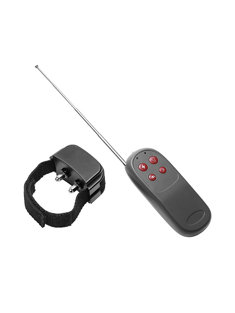 Master Series Cock Shock Remote: Elektroschock-Penisring, schwarz