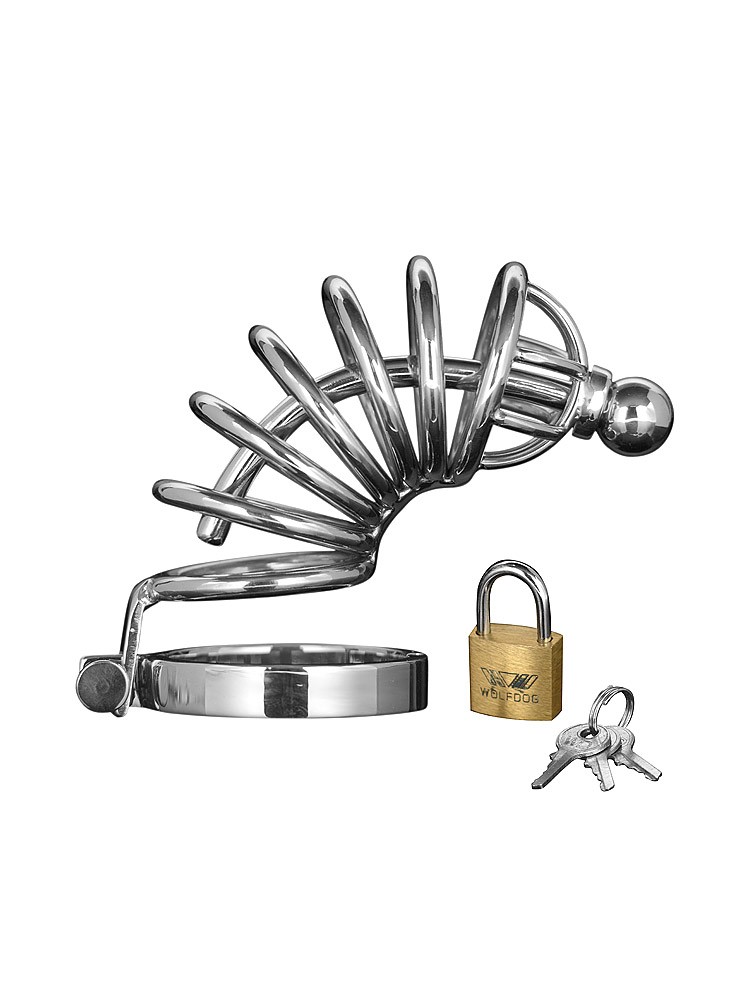 Master Series Asylum 6 Ring Chasity Cage: Edelstahl-Peniskäfig