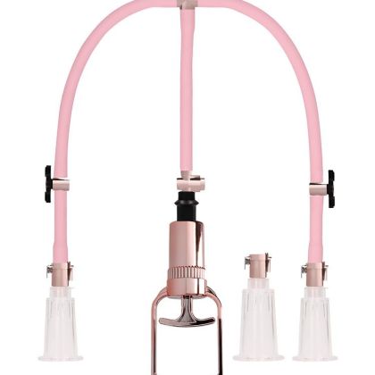 Pumped Clitoral & Nipple Pump Set M: Klitoris-/Nippel-Pumpe, rosa/roségold Pumped Clitoral & Nipple Pump Set M: Klitoris-/Nippel-Pumpe, rosa/roségold