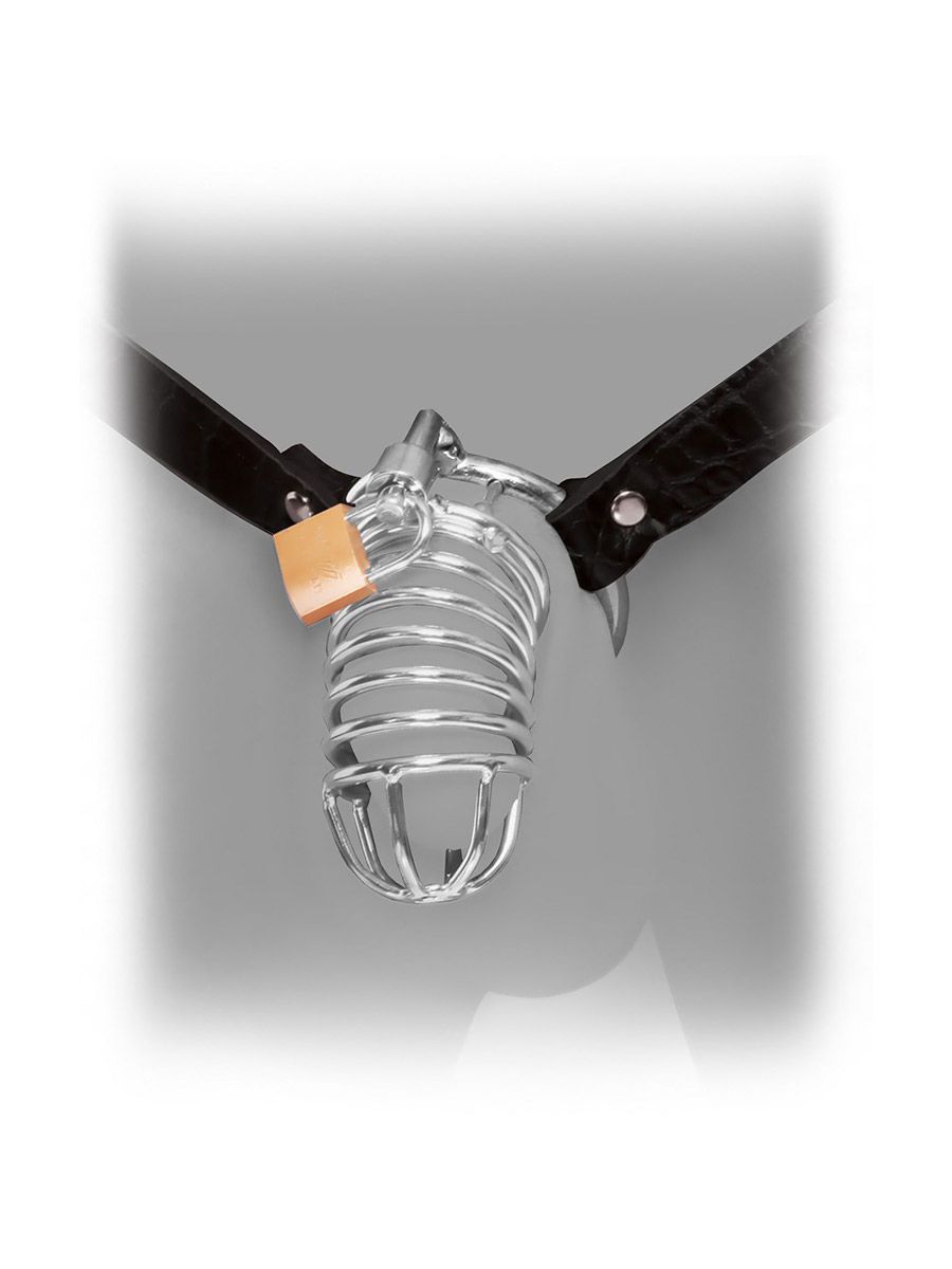 Fetish Fantasy Extreme Chastity Belt: Peniskäfig mit Hüftgurt, silber